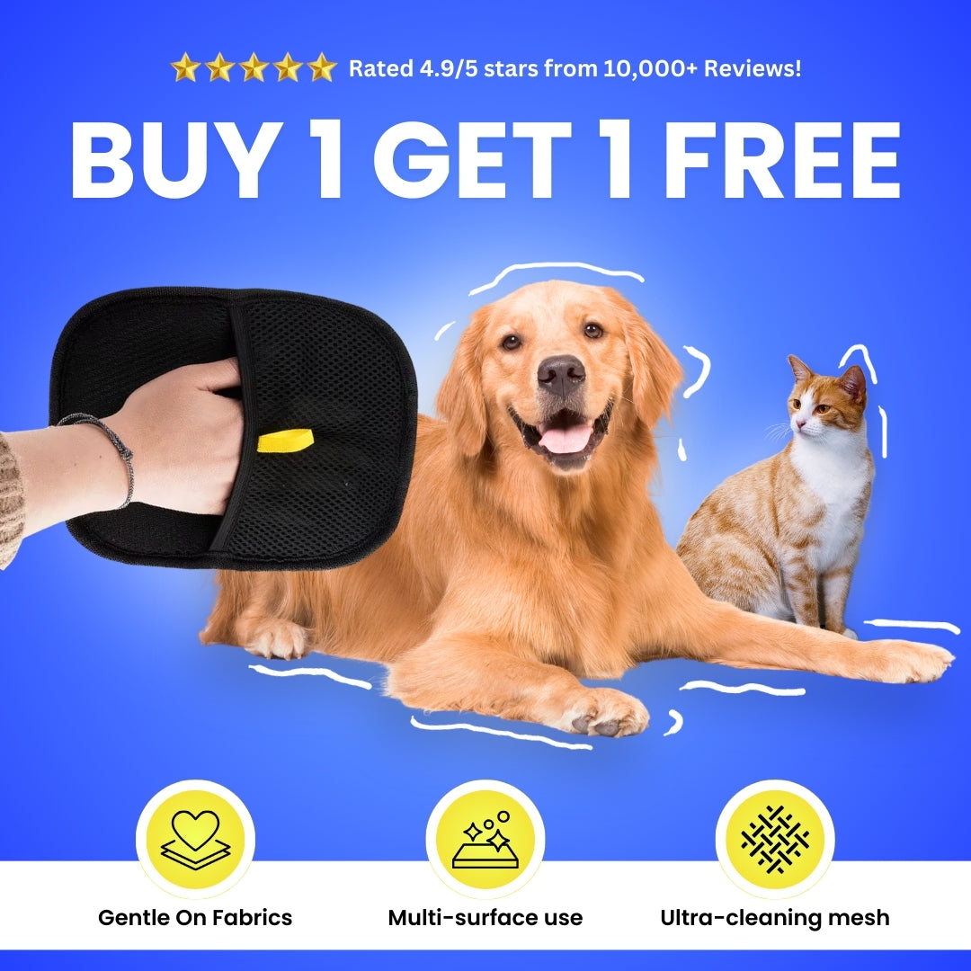 No More Fur™ - Buy 1 Get 1 Free